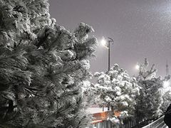 -采薇庄园四季滑雪场