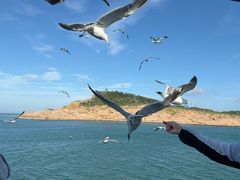 -海驴岛(荣成市)