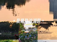 -荔湾湖公园