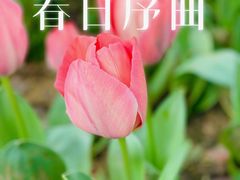 -无锡梅园公园