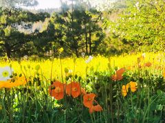 -名花谷生态庄园