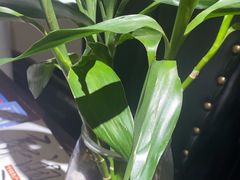 -时间仓(月湖公园店)