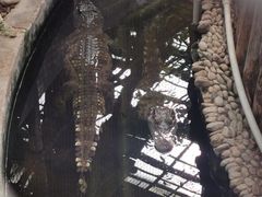 -呀路古热带植物园