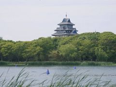 -金鸡湖桃花岛
