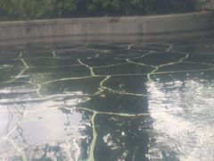 -腾冲和顺柏联酒店