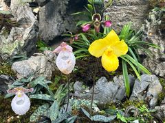 -国家植物园南园