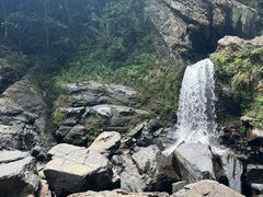 -石台牯牛降景区