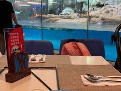 -帝企鹅自助餐厅•儿童岛•真企鹅(长隆企鹅酒店)