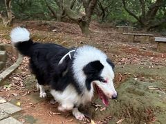 -清溪大王山森林公园
