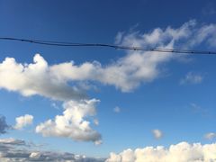 -希拉穆仁草原