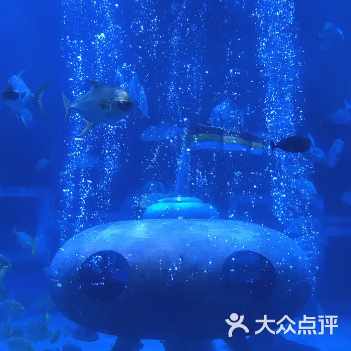 哈尔滨极地馆图片-北京海洋馆-大众点评网