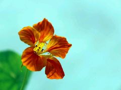 -寻龙山风景旅游区