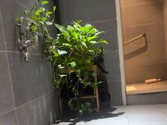 -北里·4k影院式足疗SPA馆(观音桥店)
