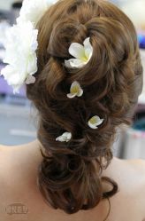 -张涛·欣悦造型