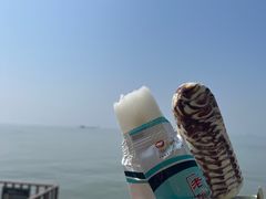 -巢湖姥山岛