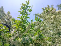 -元大都城垣遗址公园