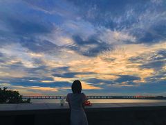 -宝安西湾红树林湿地公园