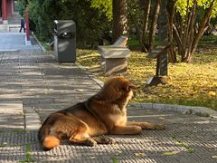 -晋祠公园