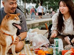 -栖露营camping·天幕烧烤·团建拓展·采摘营地
