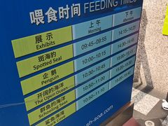 -上海海洋水族馆