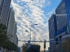 -春树下·树屋花房西餐厅(罍街AS1980店)