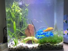 水产区-辛香汇·现炒川菜(武进吾悦店)