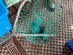 -古城苗家土菜馆(河景餐厅店)