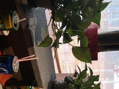 -山之屋炭火烧肉·生啤畅饮(大朗万科中央公园店)