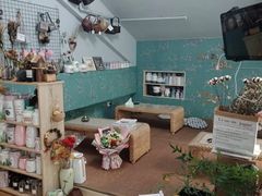 -ChaKo Flora ·茶子花艺 (市北店)