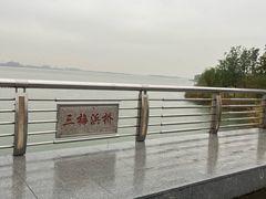 -漕湖湿地公园