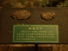 -柳州博物馆
