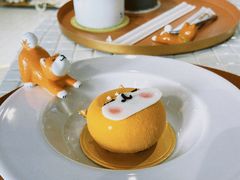 柴运蛋糕-柴务处·柴犬主题狗咖