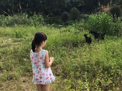 -红山村