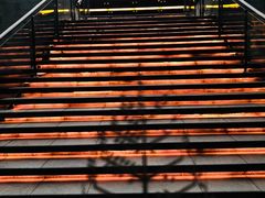 -深圳四季酒店·馥自助餐厅