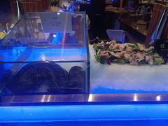 -九月海·海鲜自助(世纪东方店)