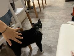 -小时光咖啡馆(北锣鼓巷店)