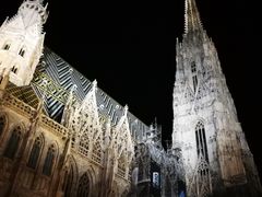 -斯蒂芬主教座堂(Stephansdom)