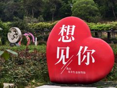 -龙寺生态园