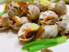花螺-惠来大排档(联创商业街店)