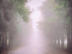 -山王坪喀斯特国家生态公园