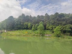 -铁山坪森林公园