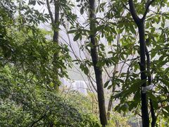 -刘伯温故里景区百丈漈