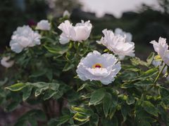 -玄武湖景区-情侣园游乐场