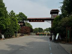 -泗洪洪泽湖湿地景区