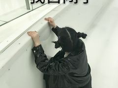-TheRink大零溜冰场(IFS国金中心店)