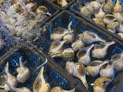 -驻海渔市(置信店)