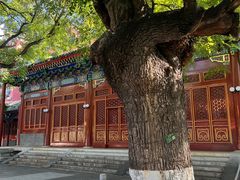 -中央音乐学院歌剧音乐厅