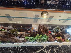 -红辣椒·川菜·火锅(大洋中心店)
