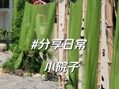 -北仑森林植物园