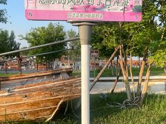 -白洋淀景区